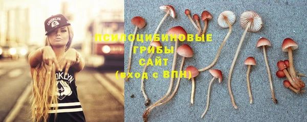 MDMA Гусиноозёрск