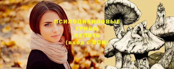 MDMA Гусиноозёрск